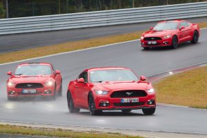 Ford Performance Day 2016 Biester Berg